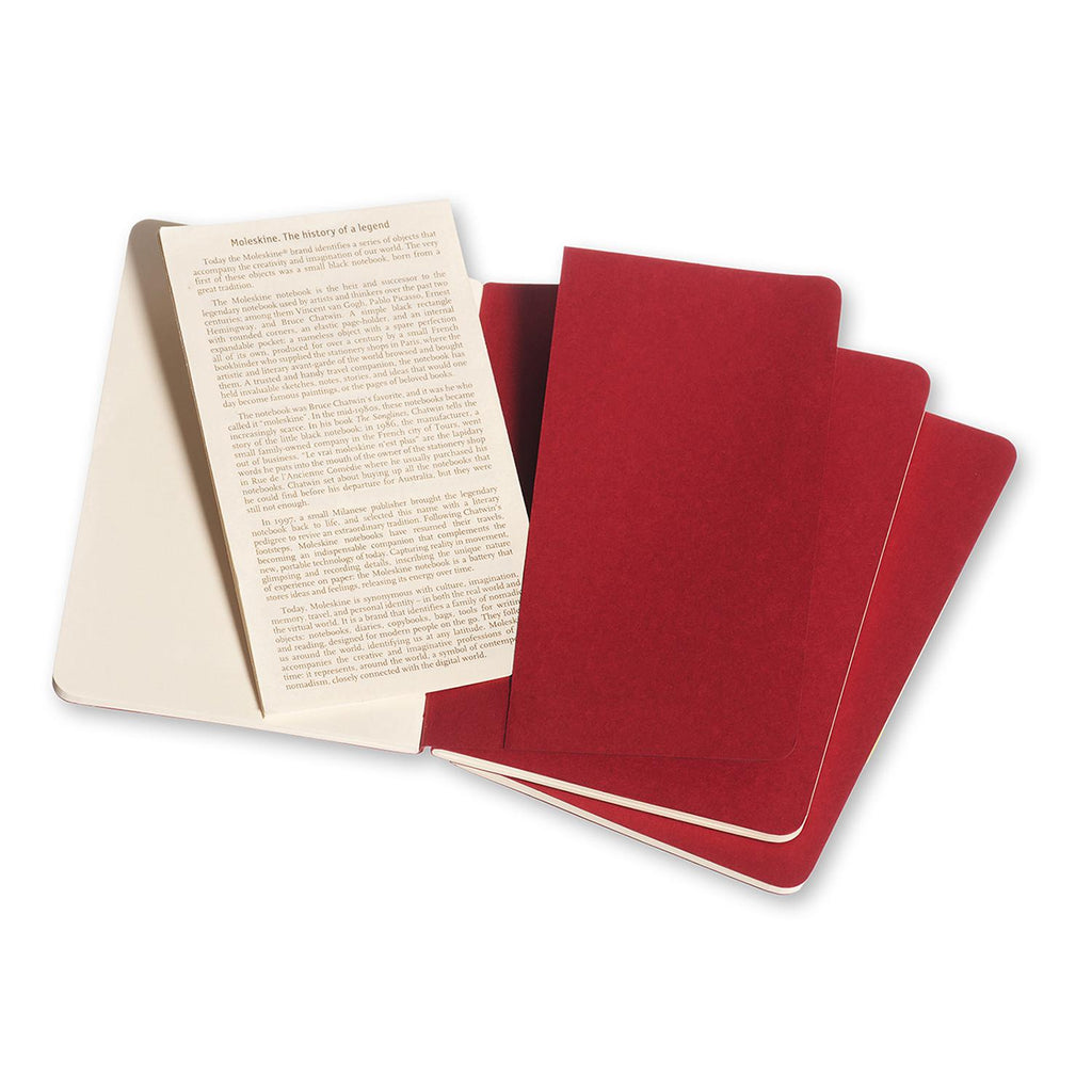 Cahier Pocket Notebook Set
